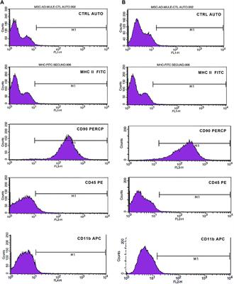 In Vitro Biological Performance of Alginate Hydrogel Capsules for Stem Cell Delivery